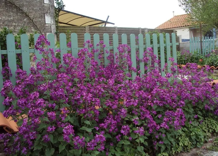 Maison Renovee Avec Jardin, Spa, Velos Pres Des Commerces - Animaux Acceptes - Fr-1-426-291 بيت للعطل